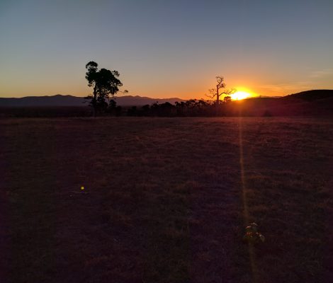 Alkoomi Farm Sunset